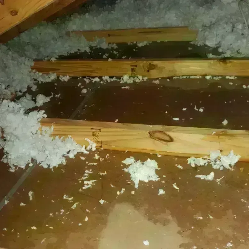 Attic Water Damage in Mauriceville, TX